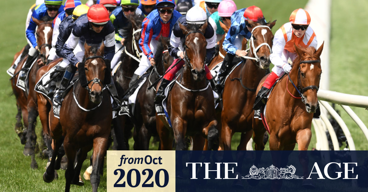 Melbourne Cup 2020 Melbourne Cup form guide, horse by horse guide